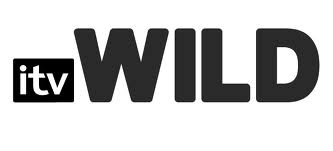 Go to itv wild itv wild logo